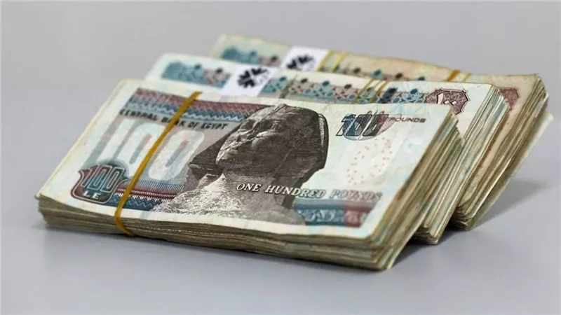 1500 جنيه هتدخل جيبك هدية من الحكومة .. منحة عيد الأضحى 2025 تبدأ رسميًا لهذه الفئات | اعرف الموعد وشروط الصرف قبل الزحمة – هل انت منهم؟