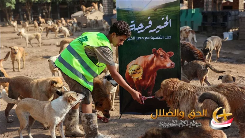 شاهد ما حدث الساعات الأخيرة وقلب 