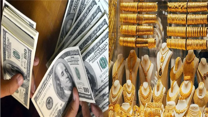 ارتفاع سعر الذهب والدولار في مصر بمنتصف تعاملات الأربعاء 14 يناير 2026