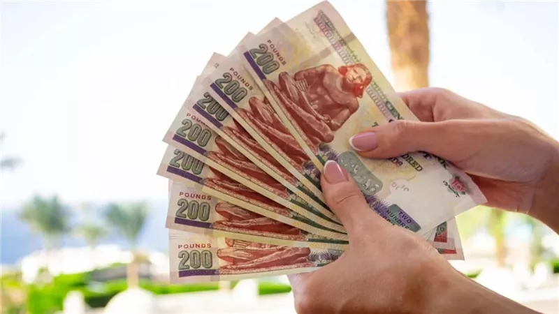 السيسي يوجه بصرف 1000 جنيه حافز تدريس للمعلمين والتطبيق من أول نوفمبر