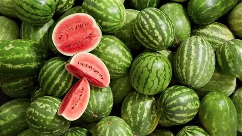 تناول البطيخ على معدة فارغة...خذ قطعة من البطيخ وتخلص من هذه الامراض المخيفة