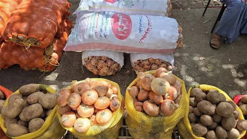 الطماطم تسجل اعلى الاسعار في السوق.... أسعار الخضروات والفاكهة اليوم الخميس 26/يونيو/2025 بالأسواق