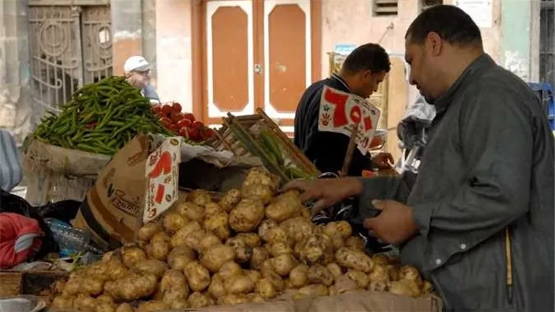 كل الاسعار على قد الايد ماعدا الثوم والتفاح...أسعار الخضراوات والفاكهة اليوم الأربعاء 2 يوليو 2025 بسوق العبور