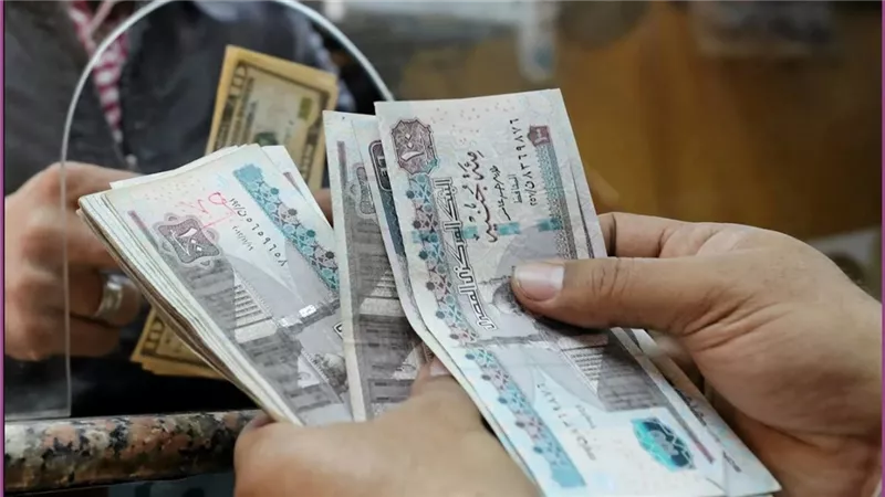وزارة التضامن تعلن صرف معاش تكافل وكرامة لشهر نوفمبر 2025 يوم 15 رسميًا