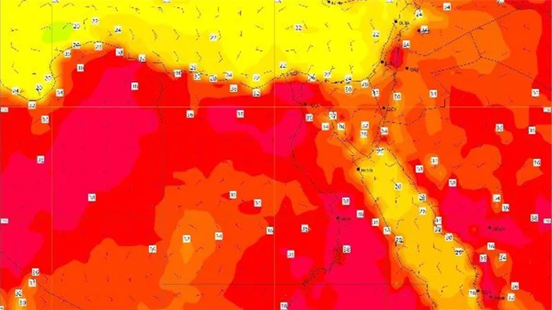 حر وشبورة في وقت واحد.. الأرصاد تتحدث عن طقس الإثنين الموافق 14 يوليو 2025