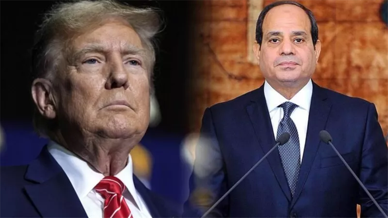 مصر توافق على الانضمام إلى مجلس السلام وتؤكد دعمها لجهود إنهاء حرب غزة 