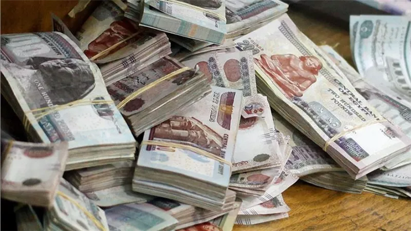 اختيار شهادة الادخار المناسبة.. خطوات تحديد الهدف وشروط الاسترداد ودورية صرف العائد