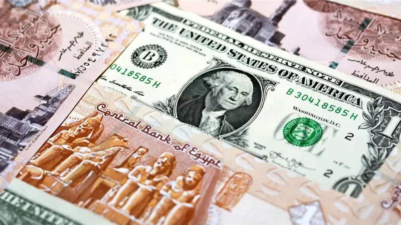 سعر الدولار اليوم مقابل الجنيه في البنوك والسوق السوداء الثلاثاء 5 أغسطس 2025