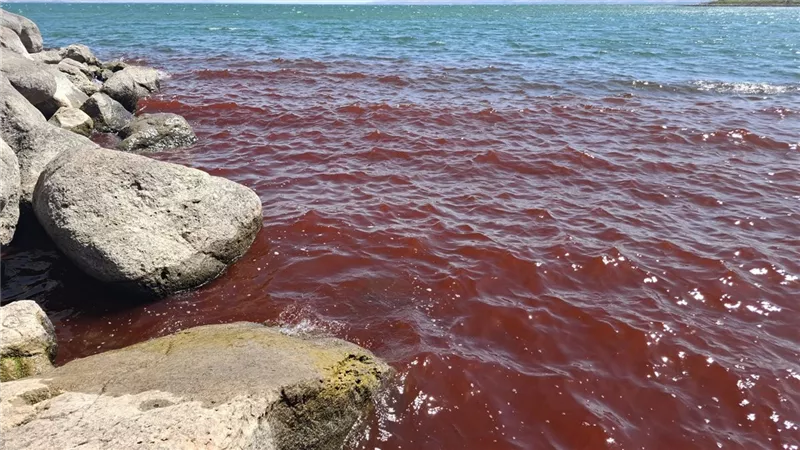 تحول لون أجزاء من بحيرة طبريا  للون الأحمر والبعض يعتبرها علامةً دينيةً على 