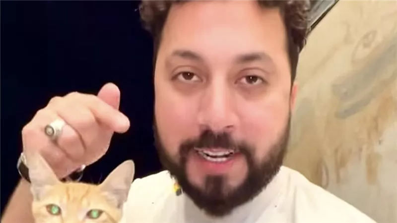 محمد حلمي يرد على منتقديه بعد مطالبات بوقف إطعام القطط والكلاب في الشوارع