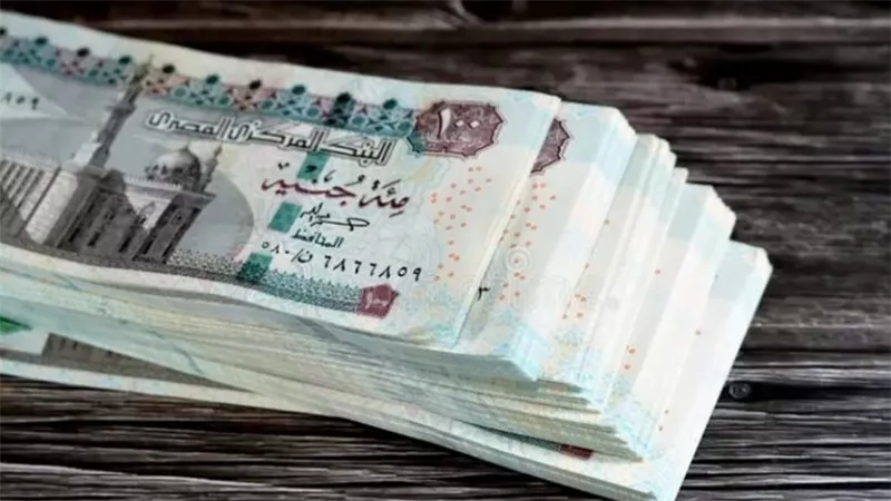 شروط اشتراك العمالة غير المنتظمة في التأمينات 2026 وقيمة الاشتراك وموعد استحقاق المعاش بالتفصيل