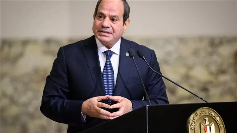 الرئيس  السيسي يقرر العفو عن علاء عبد الفتاح وولاء جمال و 4 آخرين