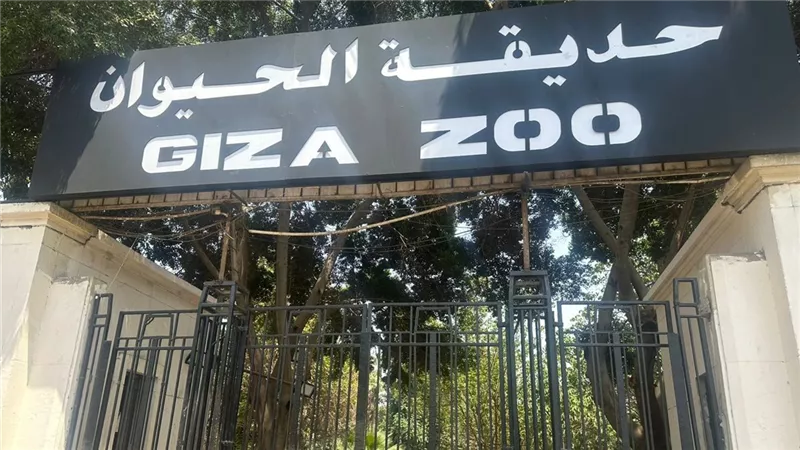 تذكرة موحدة للحيوان والأورمان.. كيف تتغير زيارة الجمهور بعد التطوير؟