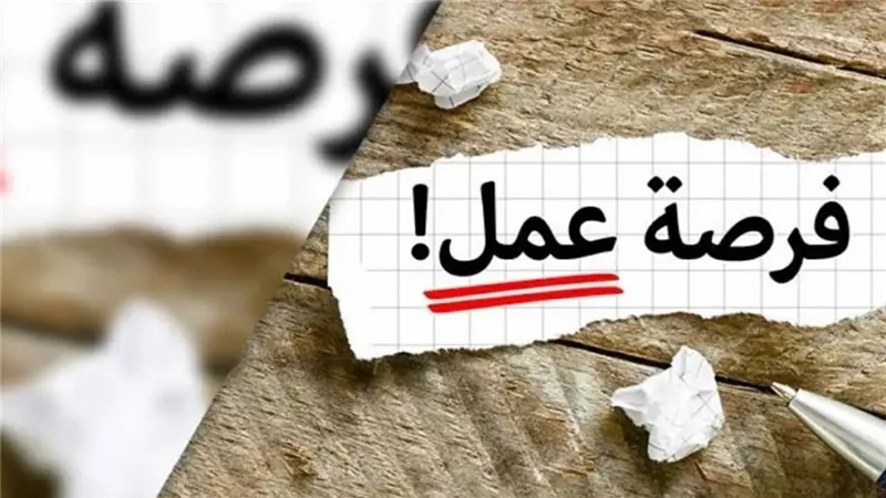 وظائف وزارة العمل تعلن فرص عمل جديدة برواتب تصل إلى 15 ألف جنيه للشباب