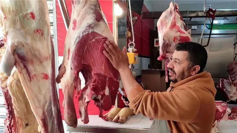 أسعار اللحوم اليوم الأربعاء 17 سبتمبر 2025 بالمحلات والمنافذ الحكومية: اللحم البقري بـ280  جنيه