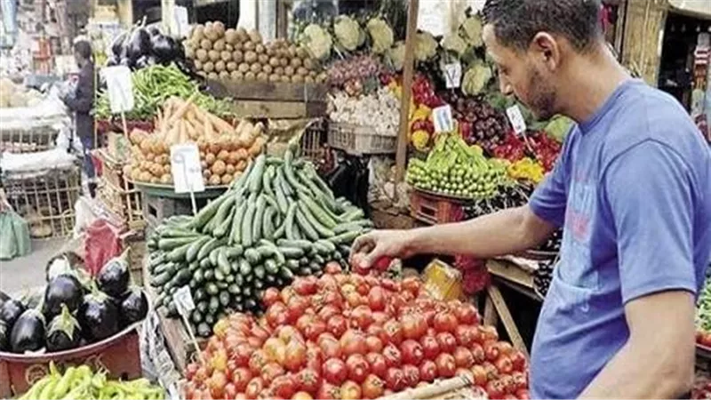 أسعار الخضروات والفاكهة الجمعة 19 يونيو 2026.. الطماطم 17.5 جنيه والتفاح 100 جنيه للجملة