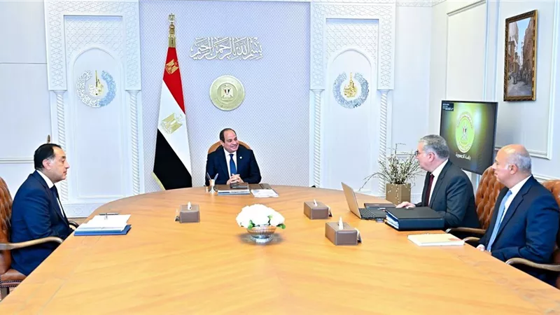 السيسي يوجه الحكومة بسداد كامل مستحقات شركات البترول وتعليمات بشأن إنتاج الغاز 