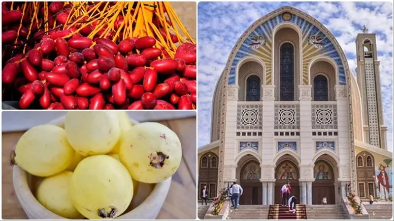 رمزية البلح والجوافة في عيد النيروز القبطي.. طقوس تعبر عن دماء الشهداء ونقاء الإيمان