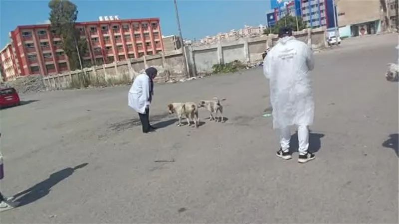 بالفيديو.. 