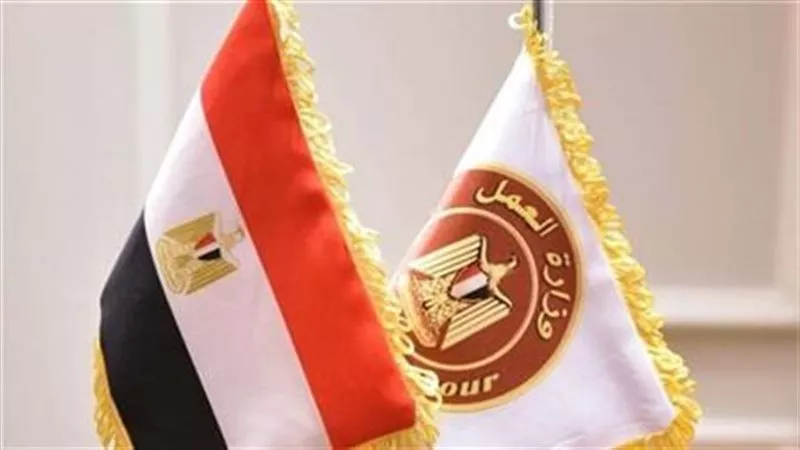 فرص عمل متنوعة في بورسعيد برواتب تصل إلى 19000 جنيه وفق إعلان وزارة العمل