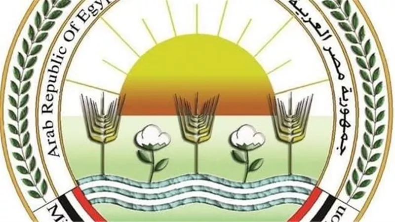 وزارة الزراعة: دعوات الامتناع عن إطعام الكلاب الضالة  سلوك مخالف للشرع والقانون