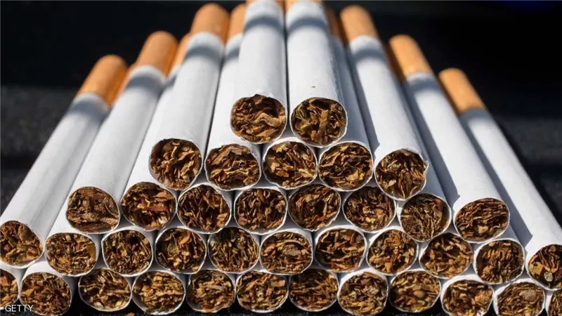 الضرائب المصرية تؤكد: لا تعديل في أسعار السجائر ولا زيادة في الضريبة بشهر نوفمبر المقبل
