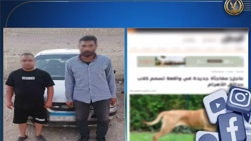 بعد وضع سم للكلاب.. وزارة الداخلية تعلن القبض على شخصان