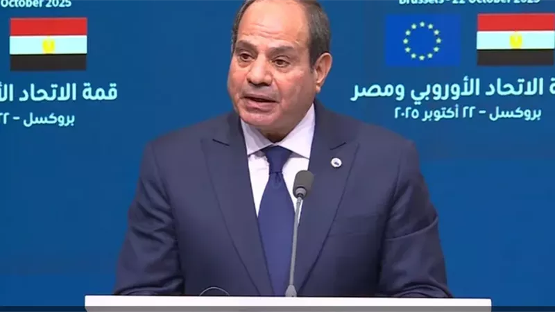 المتحدث الرسمي باسم رئاسة الجمهورية ينشر أبرز لقطات زيارة السيسي إلى بلجيكا في فيديو جديد 