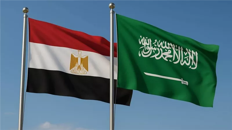 وزير الخارجية بدر عبد العاطي ينفي توتر العلاقات بين مصر والسعودية ويؤكد متانتها التاريخية