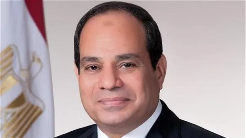 الرئيس السيسي يتحدث عن خسارة مصر 8 مليارات دولار من إيرادات قناة السويس