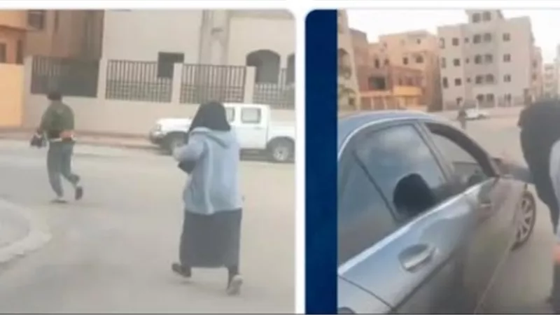 سيدة تتهم شخصا بسكب مادة حارقة على وجهها أثناء إطعامها كلاب 