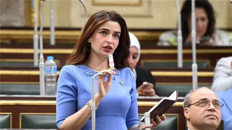 النائبة إيرين سعيد تثير ملف مكافآت طلاب جامعة كيان بعد اعتراض الرئيس على المادة 25
