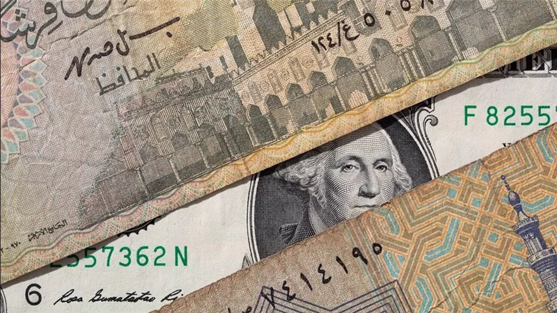سعر الدولار اليوم الجمعة 20-2-2026 يرتفع أمام الجنيه ويسجل مستويات متقاربة في الشراء والبيع