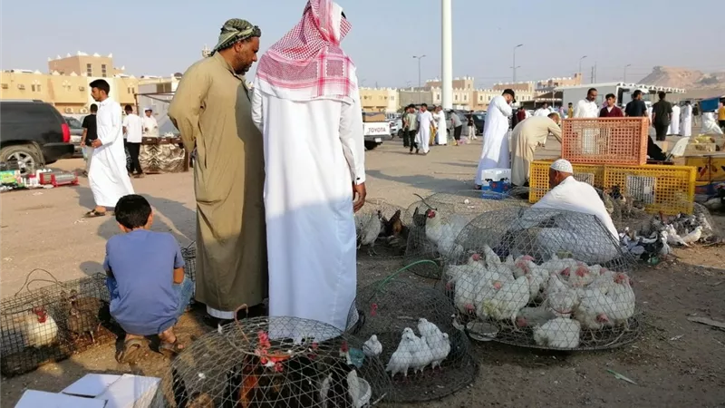 السعودية تحظر استيراد لحوم الدواجن وبيض المائدة من 40 دولة وإجراءات رقابية على 16 دولة أخرى