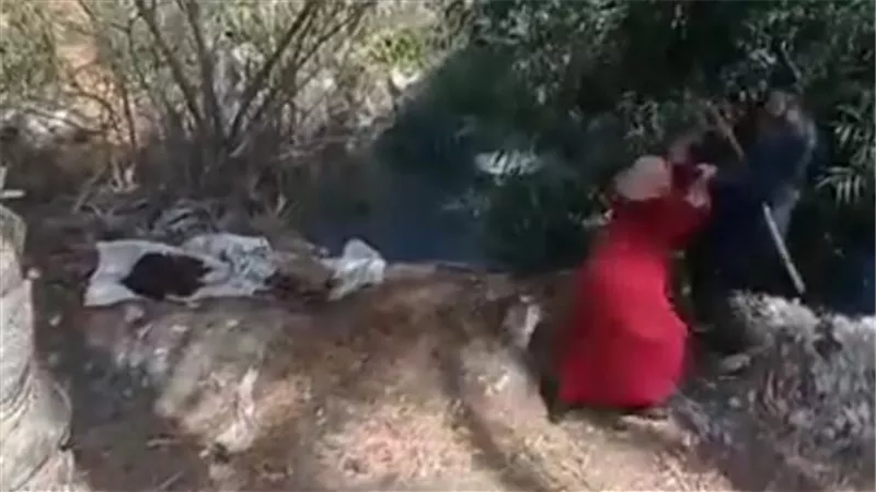 نجل المتهم بإلقاء سيدة في ترعة بالبحيرة يكشف سبب الاعتداء وخلافات الميراث وراء الواقعة