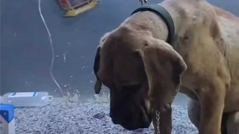 ابتسام حسبو تروي لـ 