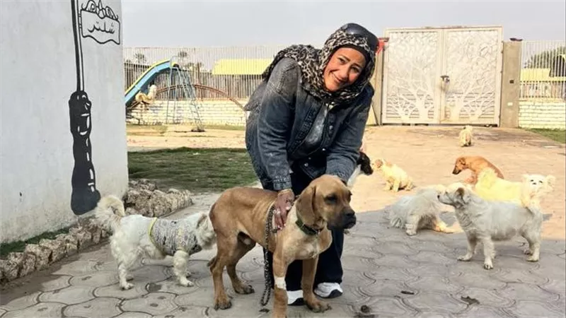 تعليق ابتسام حسبو على واقعة كلب السويس: 