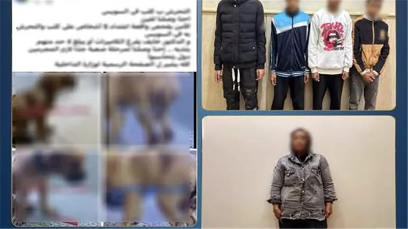 الداخلية تكشف حقيقة واقعة كلب السويس بعد القبض على ناشرة تفاصيل الواقعة