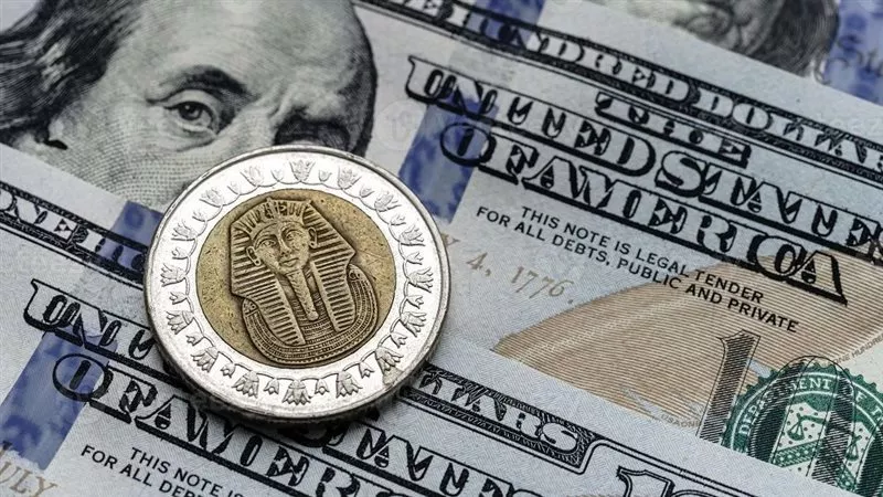 استقرار سعر الدولار اليوم أمام الجنيه بالبنوك عند 49.57 جنيه والسوق الموازية تسجل 50.42 جنيه