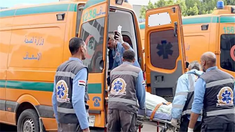 إصابة طفلة في حادث عربة كارو بدمياط بعد وفاة 5 أطفال وحالتها حرجة بالعناية المركزة