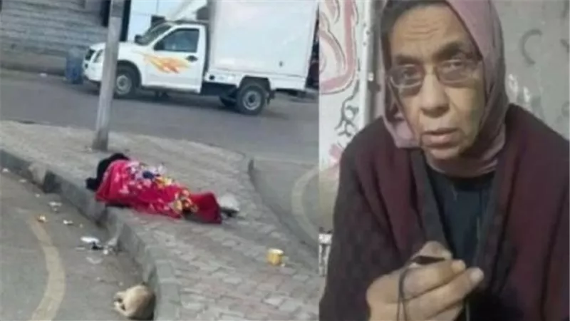 تصريحات خبيرة الطاقة الذرية ليلى إبراهيم بعد لقائها مع الرئيس السيسي