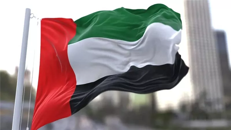 الإمارات تعلن فشل مجلس الأمن في اعتماد قرار لتأمين الملاحة بمضيق هرمز وتؤكد خطورة الأزمة