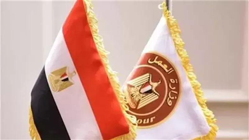 وزارة العمل تعمل على توفير تدريبات للشباب في محافظة الإسماعيلية