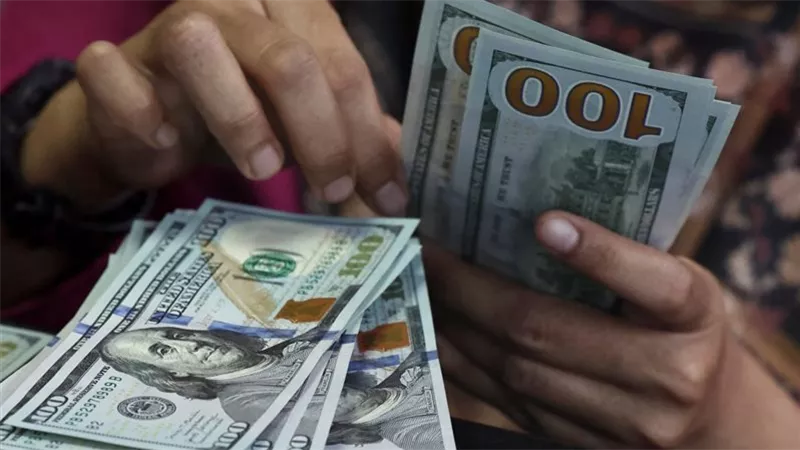 استقرار سعر الدولار في البنوك والسوق الموازية.. 50.17 بالأهلي و50.89 جنيه غير رسميًا