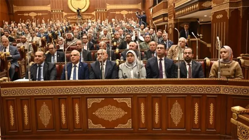 مجلس الشيوخ يوافق على تعديلات قوانين التأمينات والمعاشات في مصر