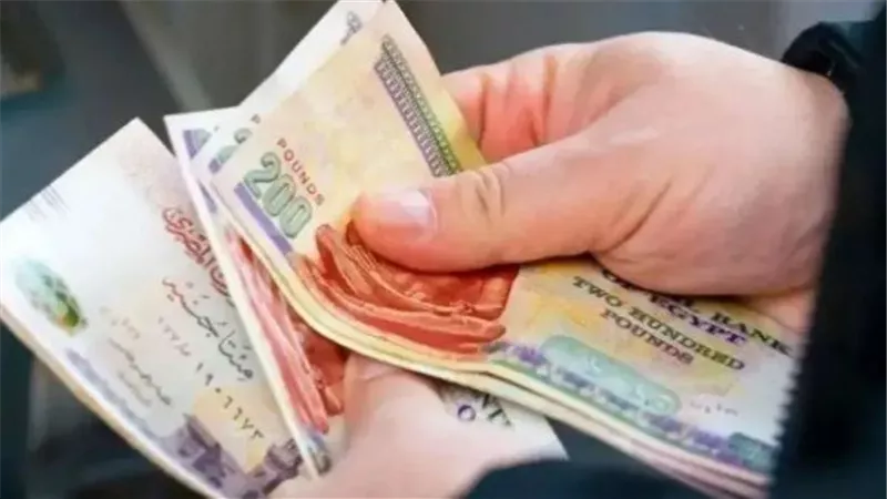 تفاصيل  تعديلات قانون التأمينات الاجتماعية.. بعد موافقة مجلس الشيوخ