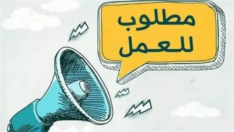 وزارة العمل تعلن وظائف للشباب من الجنسين برواتب حتى 14,774 جنيه وبدون خبرة لبعض الوظائف