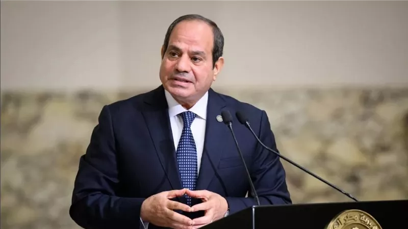 السيسي يستقبل نبيل فهمي ويؤكد دعم مصر لترشيحه أمينًا عامًا لجامعة الدول العربية