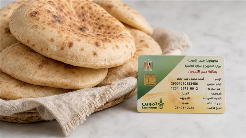 شعبة المخابز تنفي تطبيق الدعم النقدي للخبز الشهر المقبل وتؤكد عدم حسم الموعد والسعر