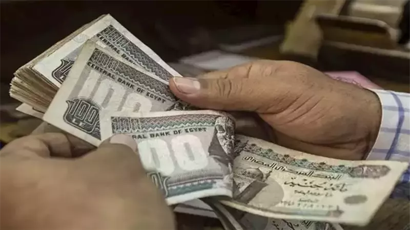 معاشات أغسطس 2026.. موعد الصرف وخطوات الاستعلام عن الرقم التأميني بالرقم القومي
